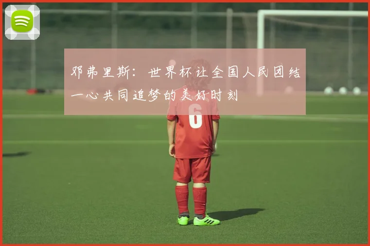 邓弗里斯：世界杯让全国人民团结一心共同追梦的美好时刻